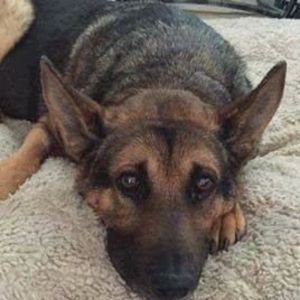 Meet your Posher, Peggyann